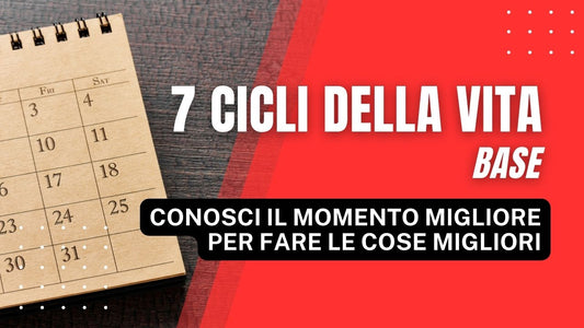 7 Cicli della Vita (Base)